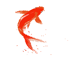640 (4).gif 640 (4).gif